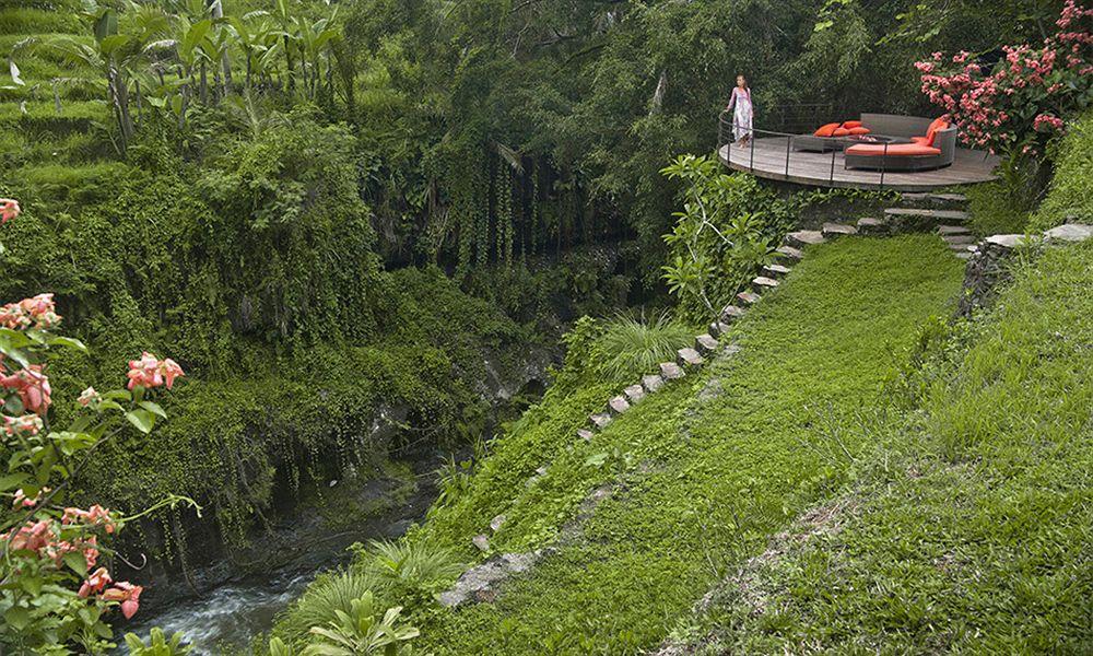 Pelangi Estate Villa Ubud Eksteriør billede