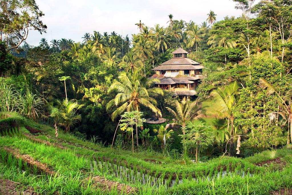 Pelangi Estate Villa Ubud Eksteriør billede